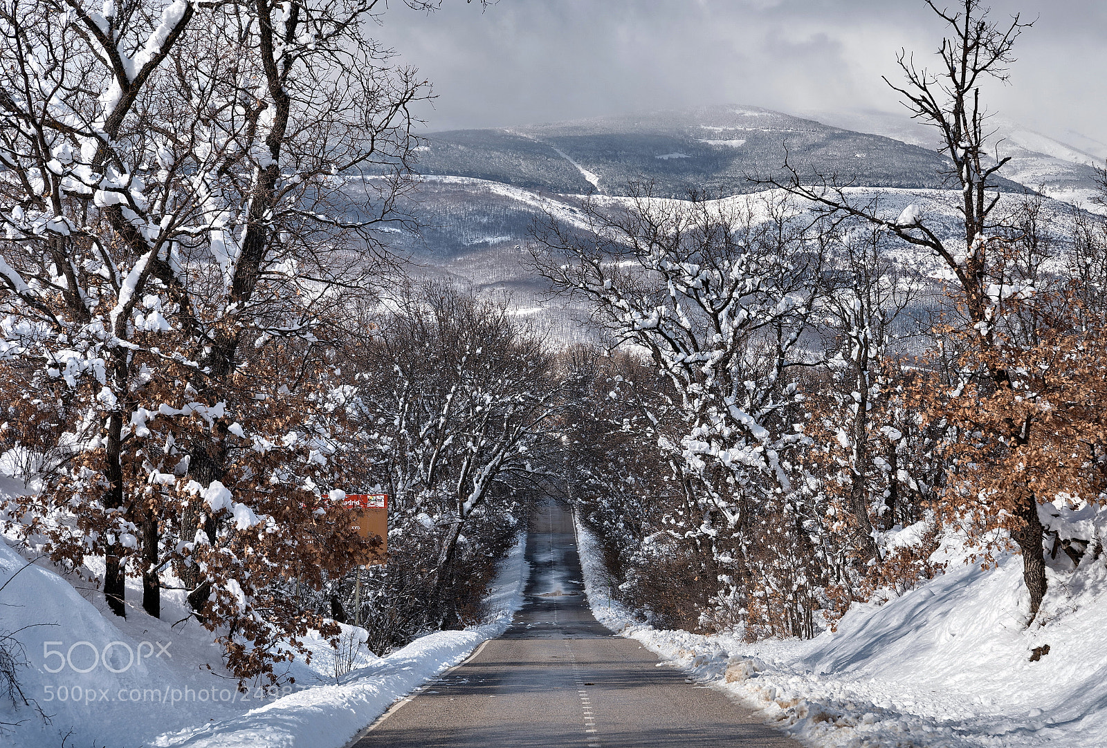 Leica SL (Typ 601) sample photo. Sierra de madrid photography