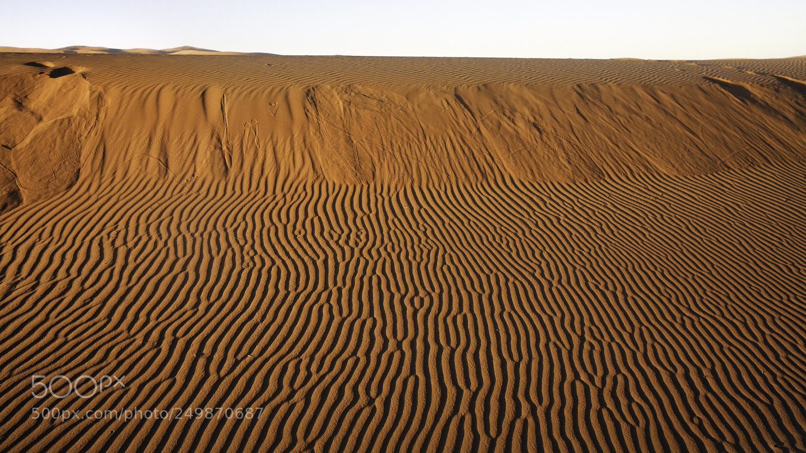 Canon EOS 5D sample photo. Sahara photography