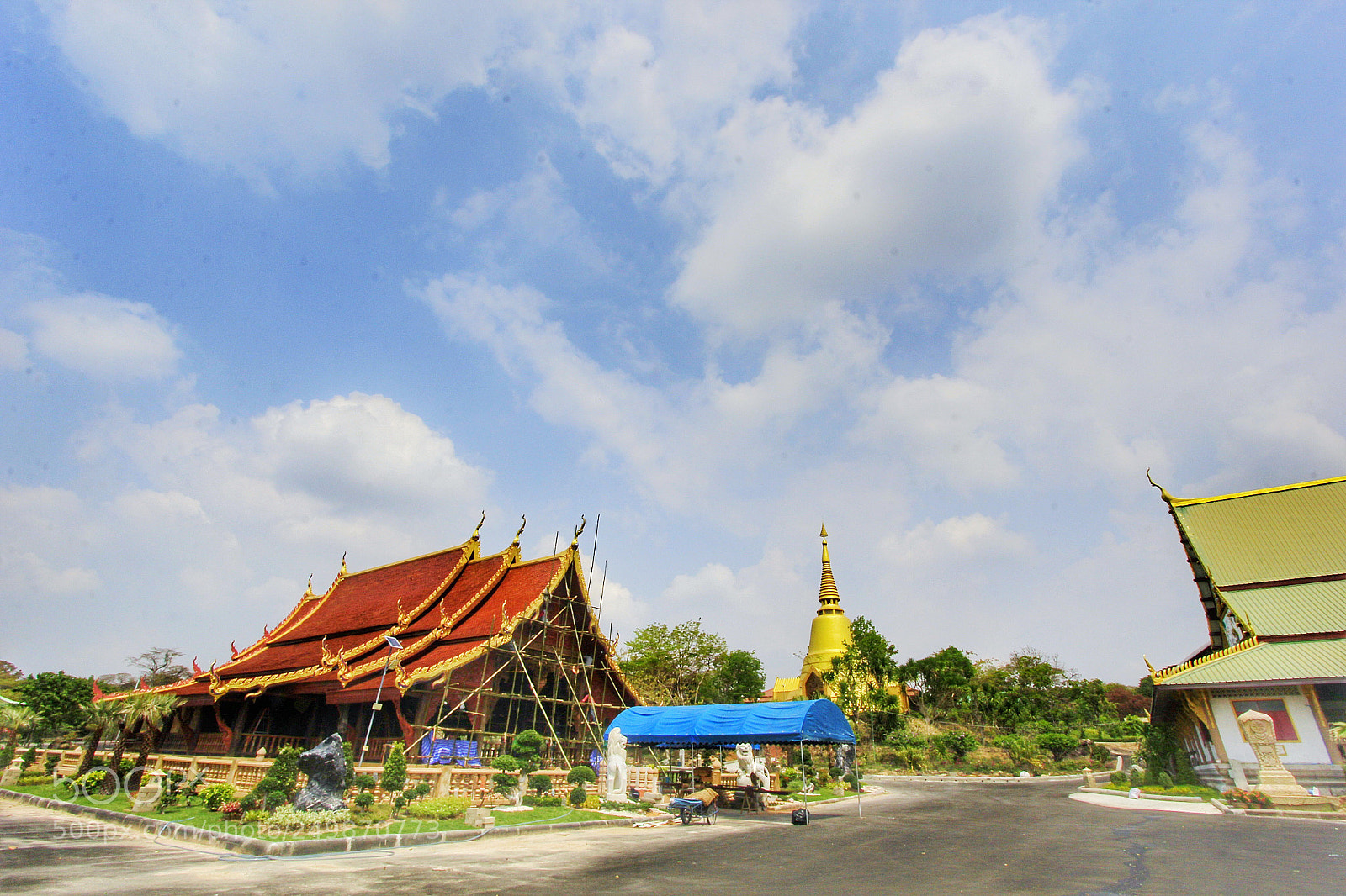 Canon EOS 60D sample photo. Untitled photography