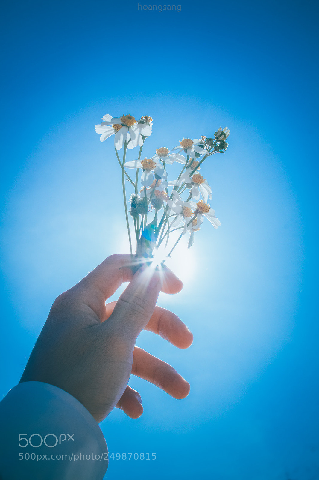 Canon EOS 60D sample photo. Flowers's name xuy n photography