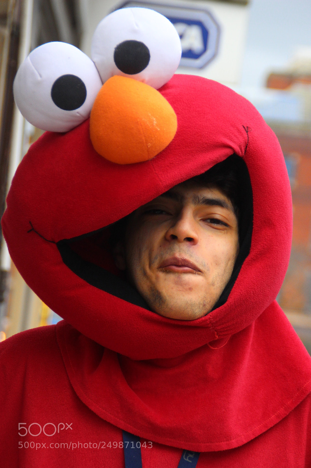 Canon EOS 600D (Rebel EOS T3i / EOS Kiss X5) sample photo. Budget elmo? photography