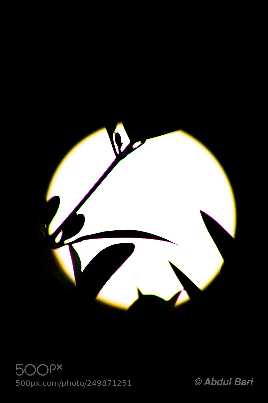 Canon EOS 7D Mark II sample photo. Super moon silhouette photography