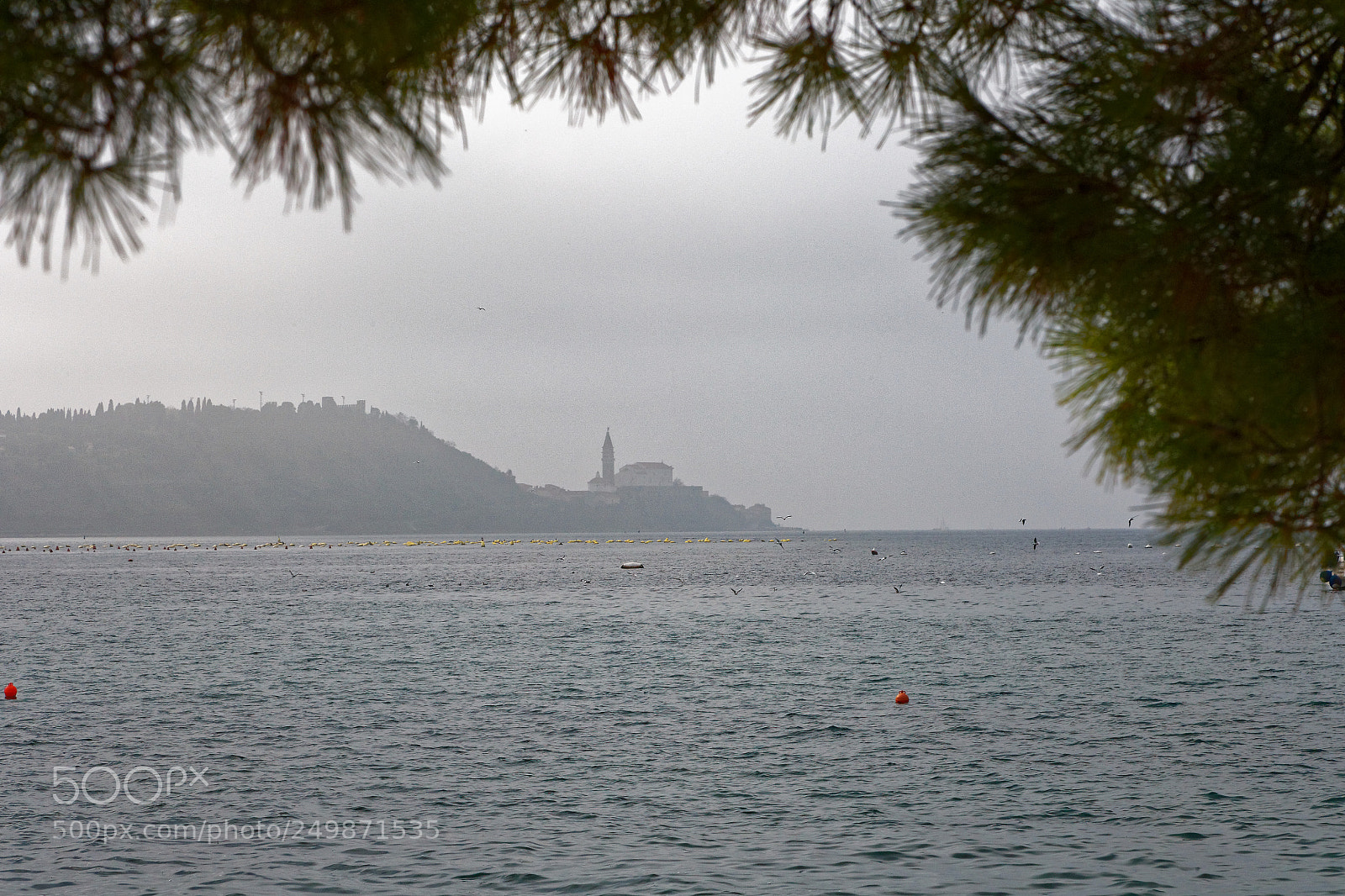 Canon EOS-1Ds Mark II sample photo. Pirano photography