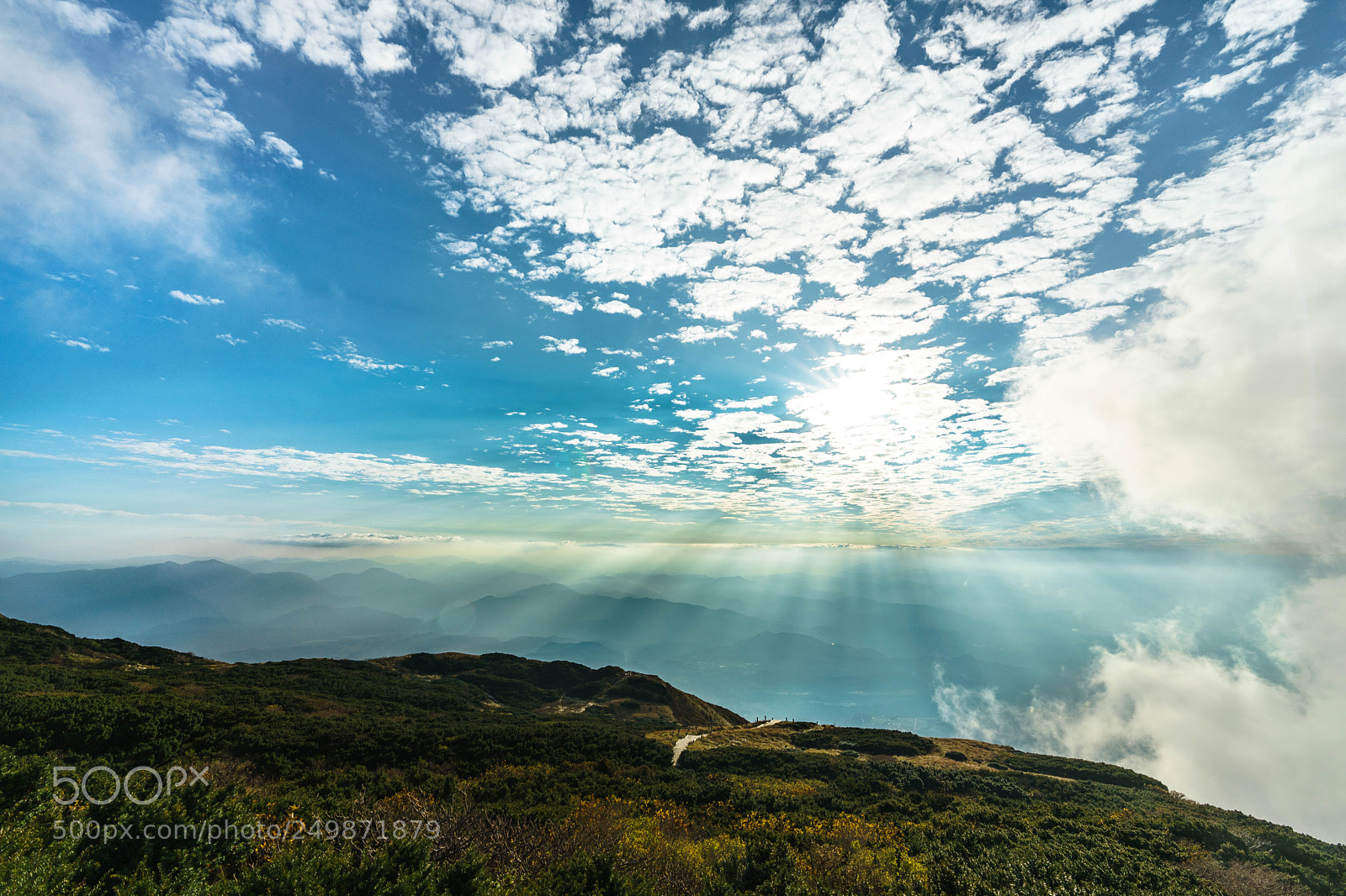 Sony a7 II sample photo. The sunlight photography