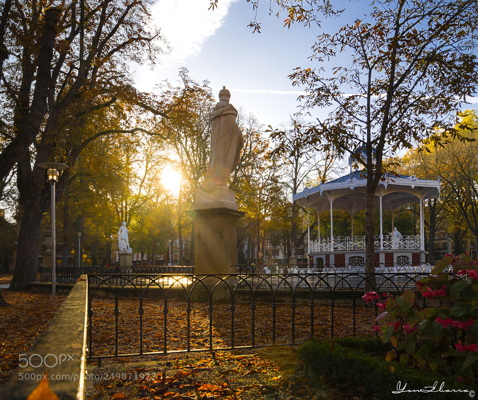 Nikon D7100 sample photo. Kings in autumn photography