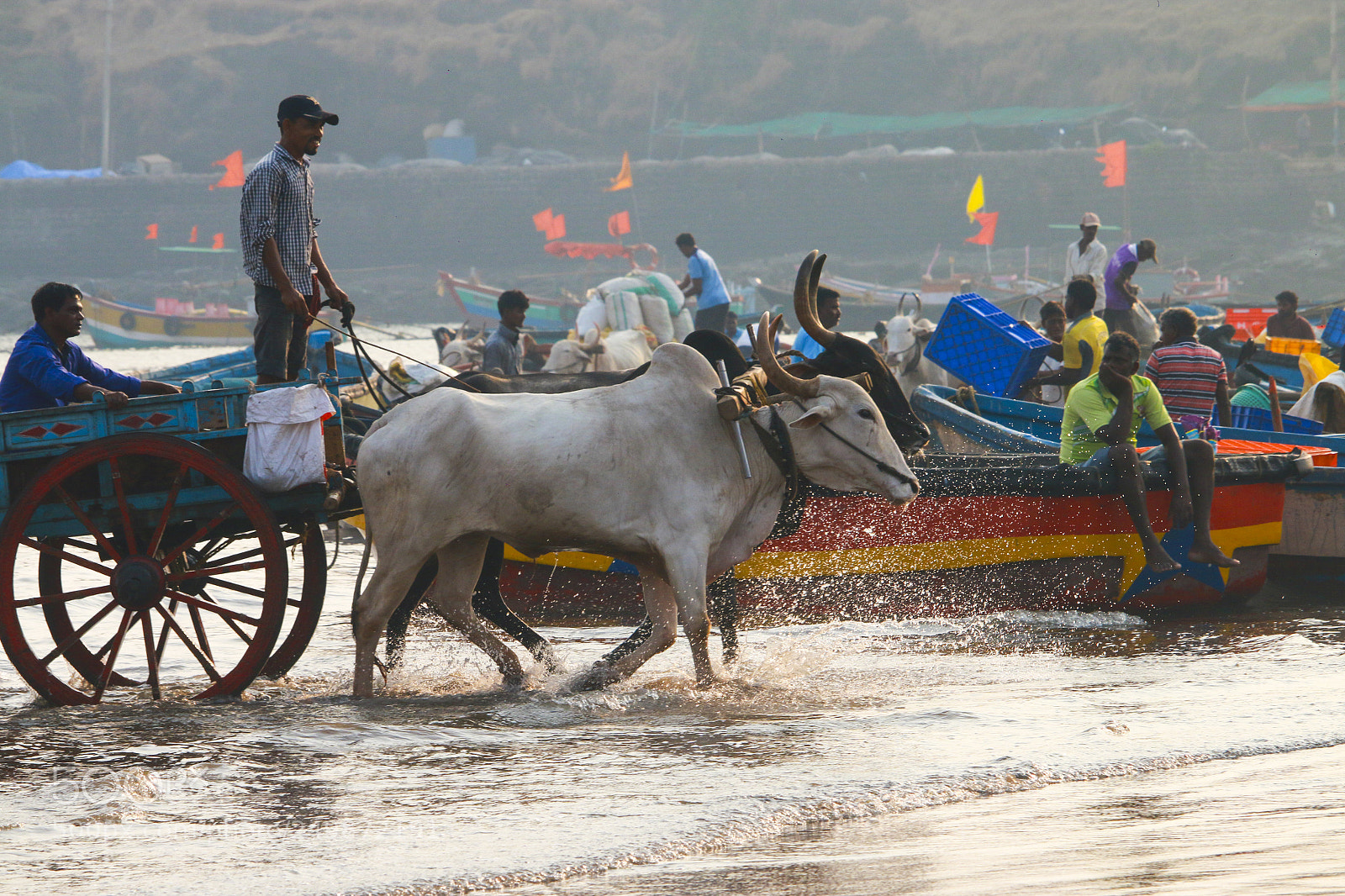 Canon EOS 70D sample photo. Fishermen's everyday life photography
