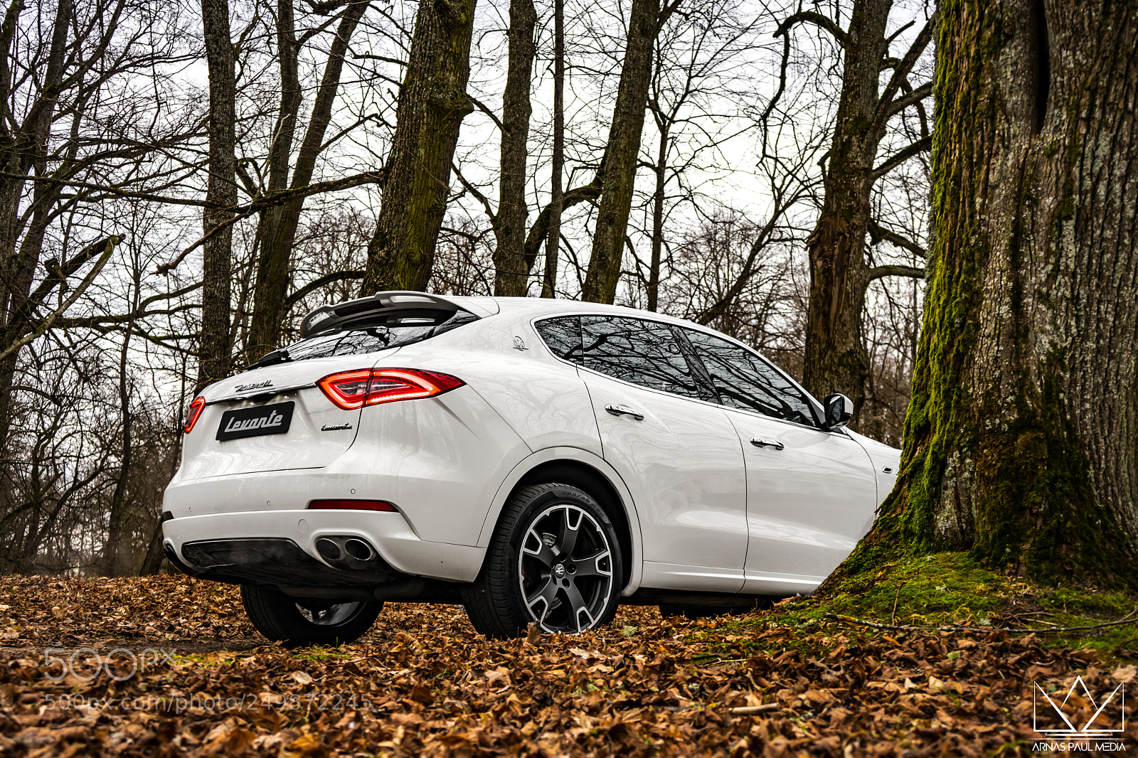 Sony a7 II sample photo. Maserati lenvate s photography