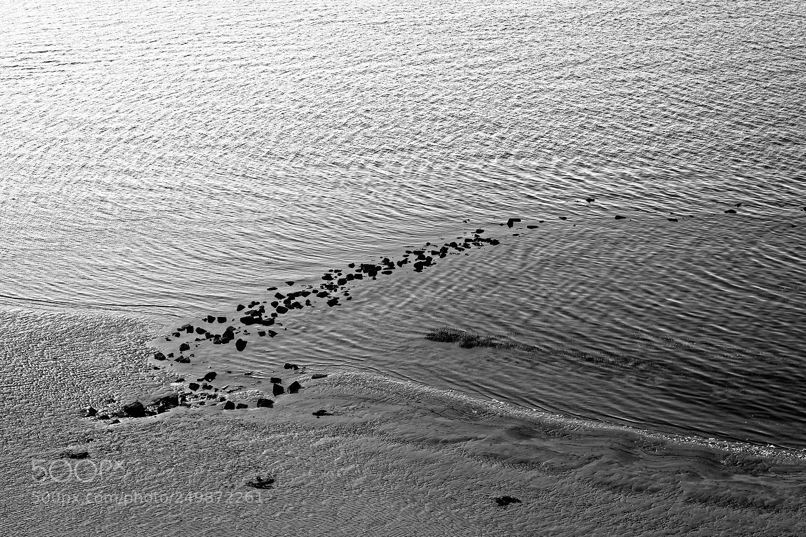 Canon EOS-1Ds Mark II sample photo. Drops of peace photography