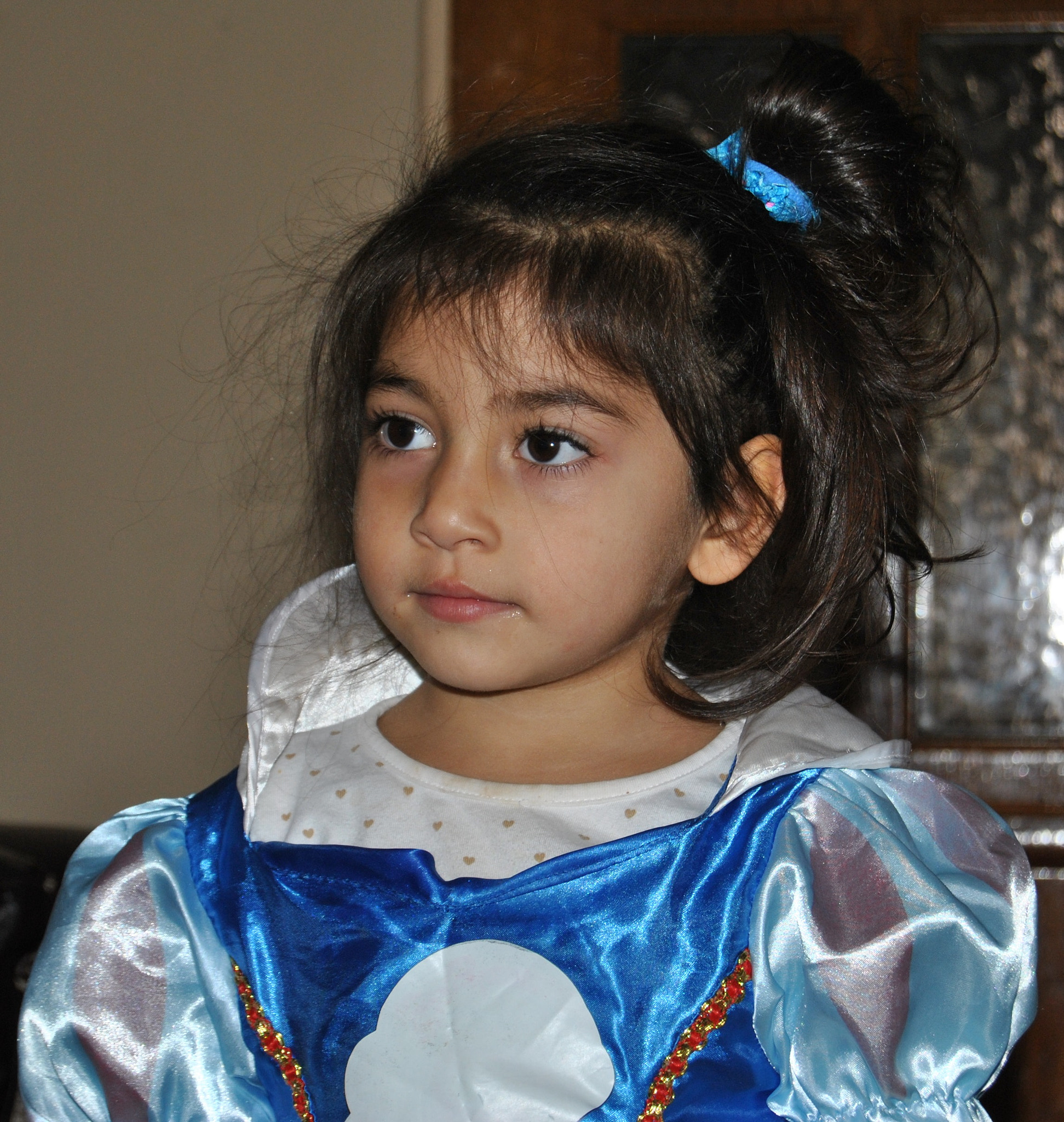 Nikon D3000 sample photo. () photography