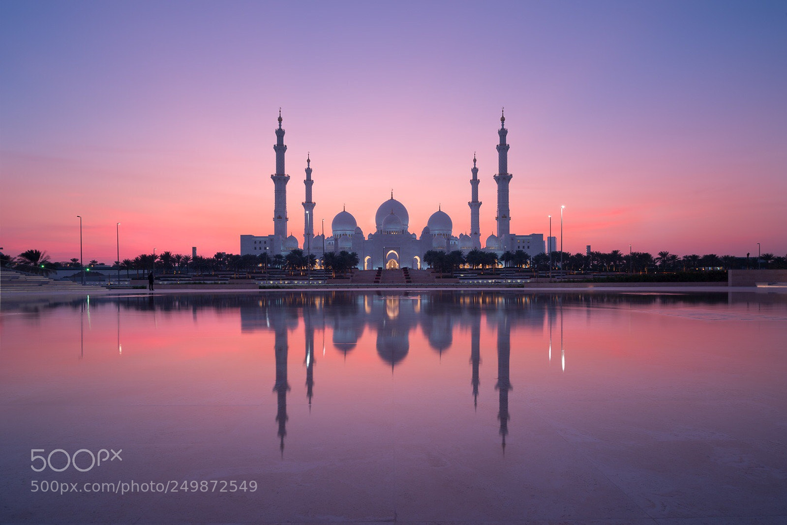 Nikon D810 sample photo. Mirror on the mosque photography