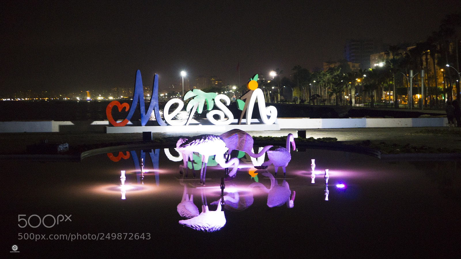 Sony a6000 sample photo. Mersin - swan photography
