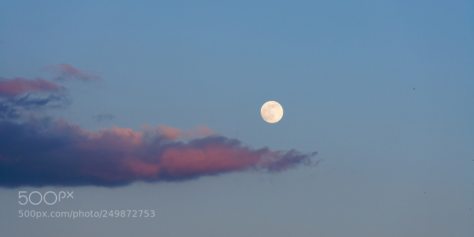 Canon EOS-1Ds Mark II sample photo. Carry the moon like photography
