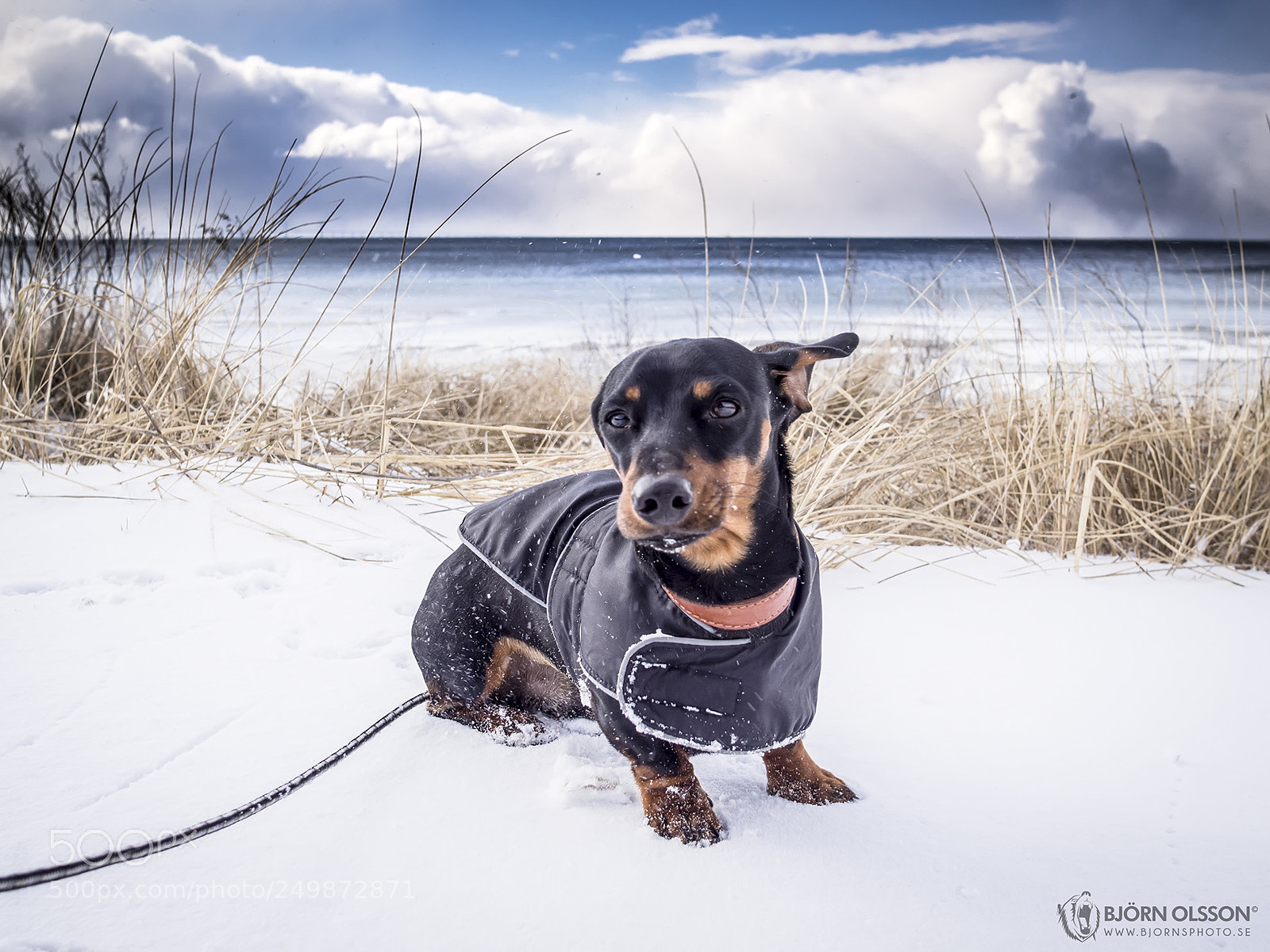 Olympus OM-D E-M10 II sample photo. Sixten on the beach photography