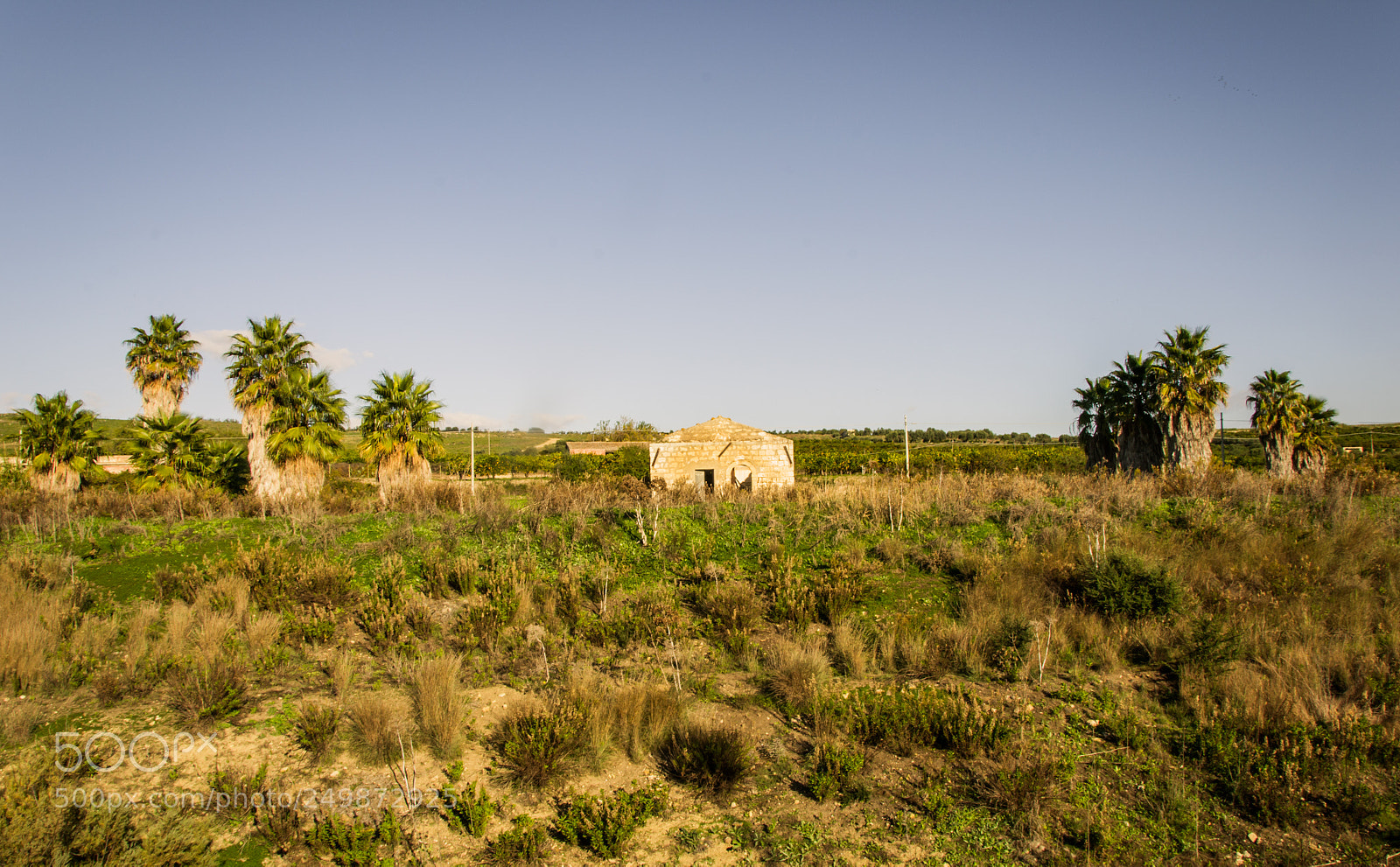 Nikon D3100 sample photo. Untitled photography