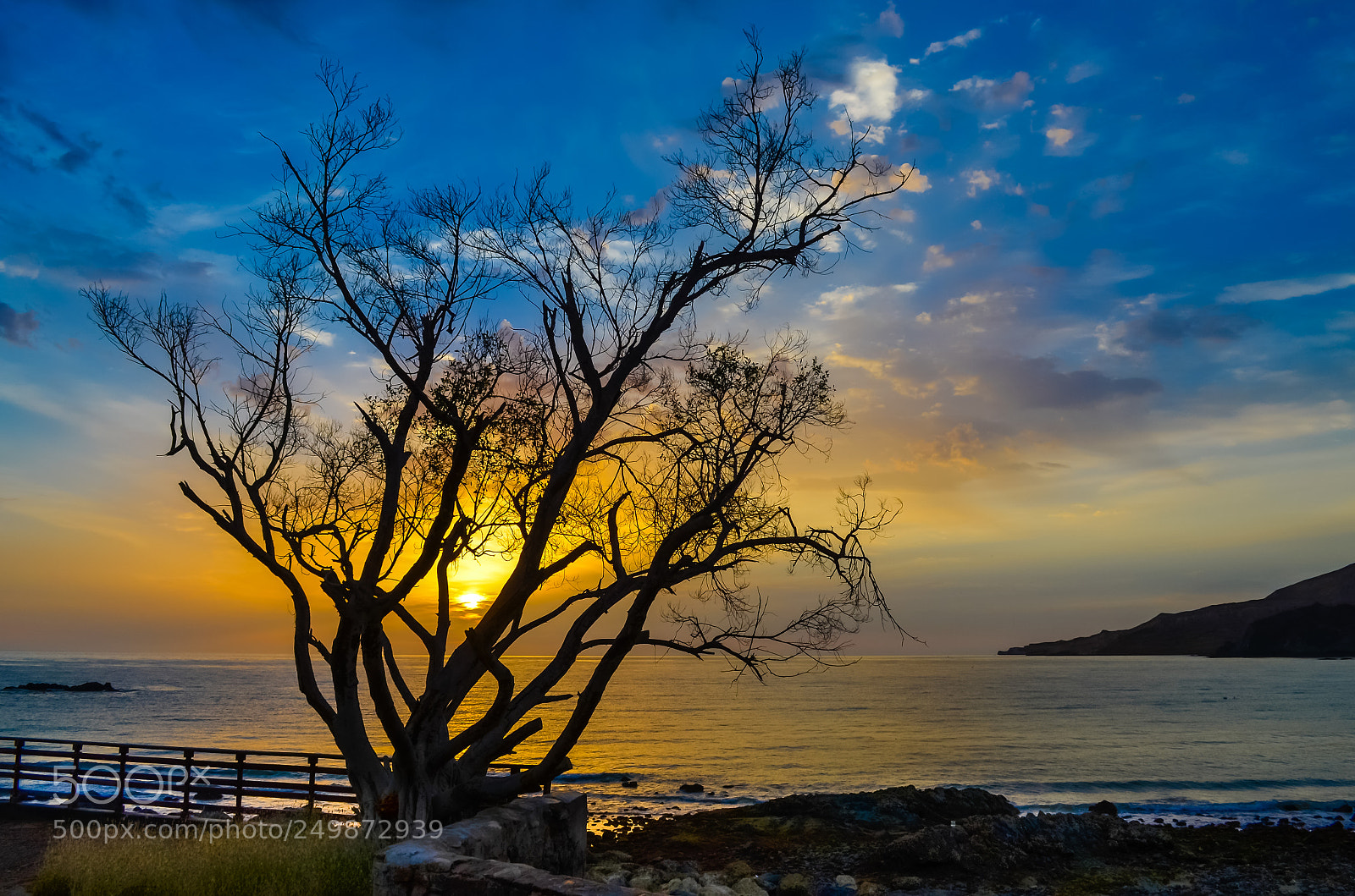 Nikon D5100 sample photo. Sunrise through the silhouette photography