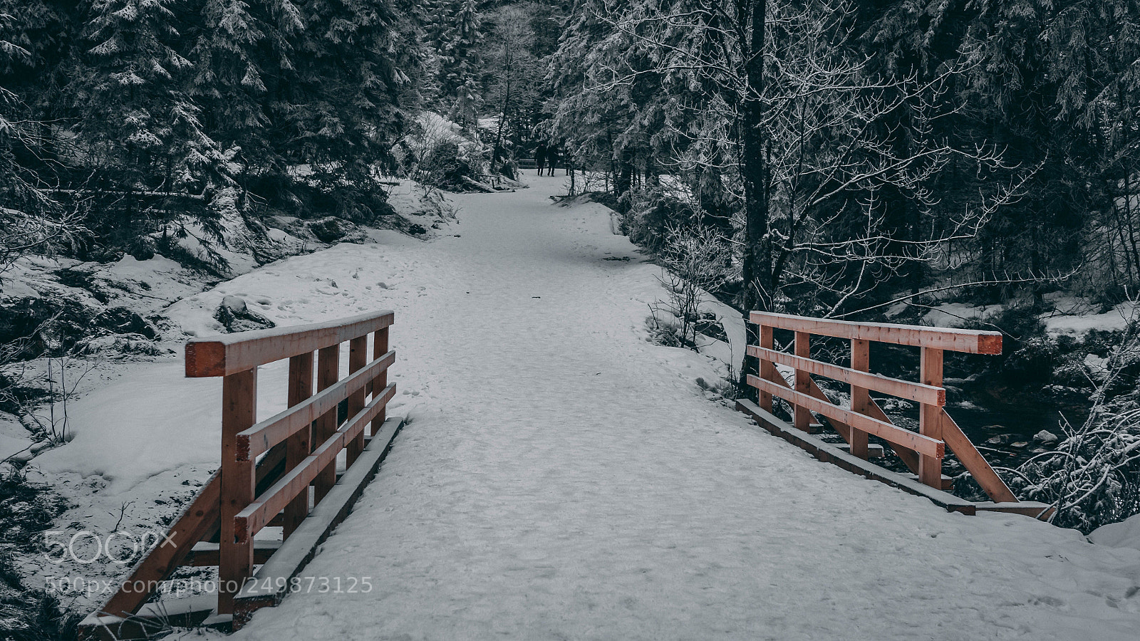 Olympus OM-D E-M10 II sample photo. Winter in tatra mountains photography