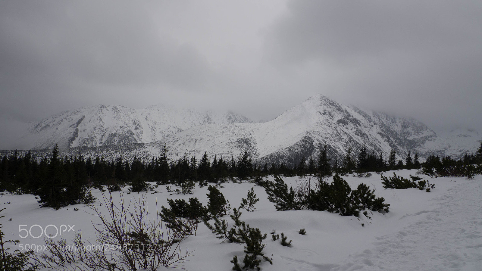 Olympus OM-D E-M10 II sample photo. Winter in tatra mountains photography