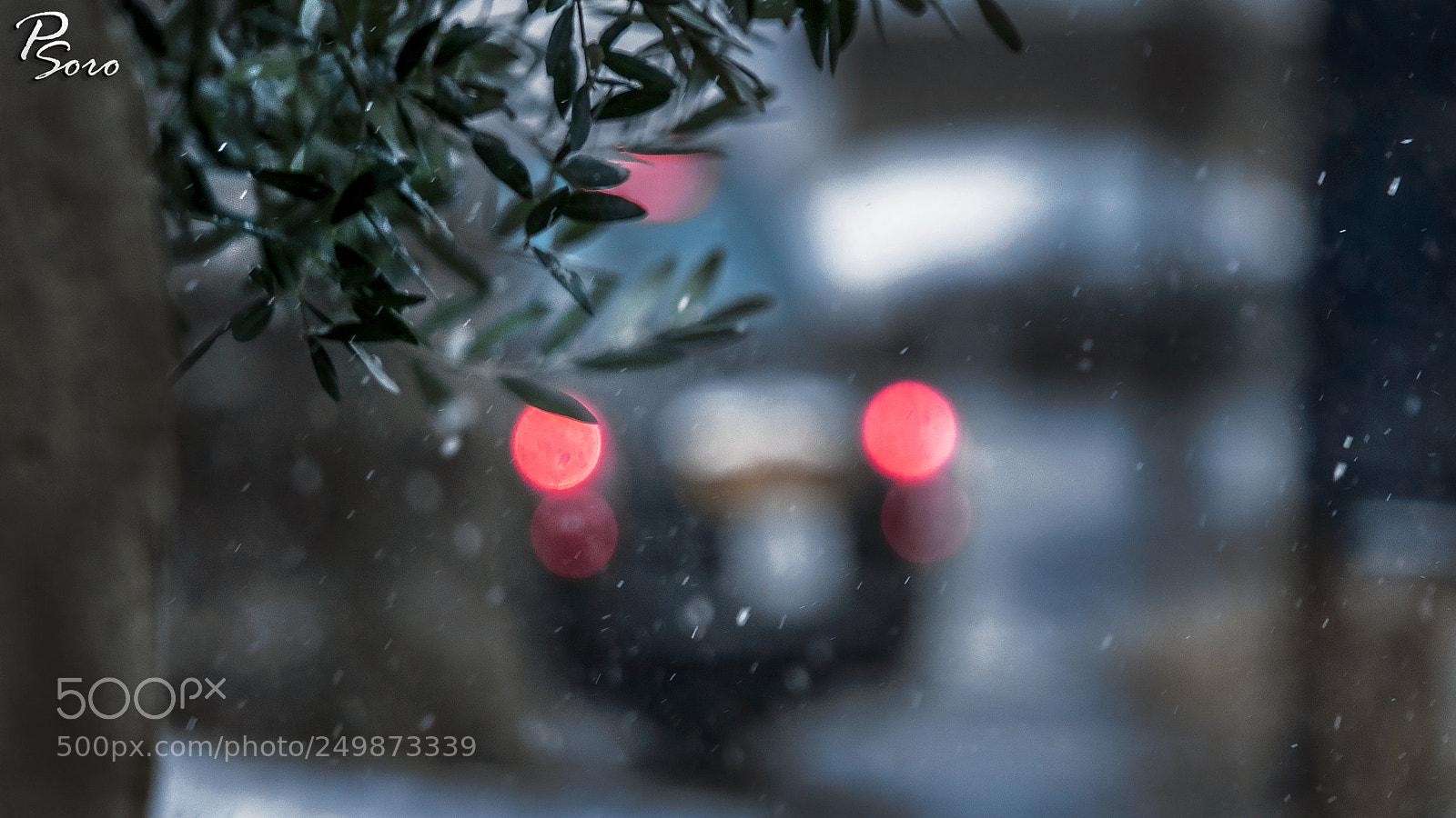 Canon EOS 80D sample photo. Winter-taxi's eyes... photography