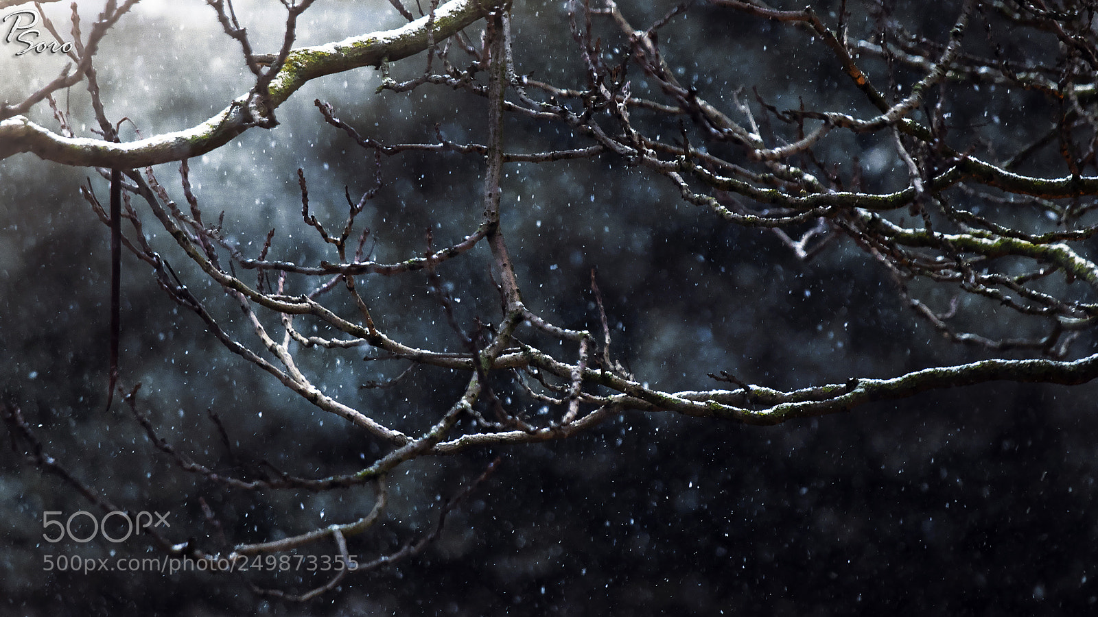 Canon EOS 80D sample photo. Winter stories (london 2018) ... photography