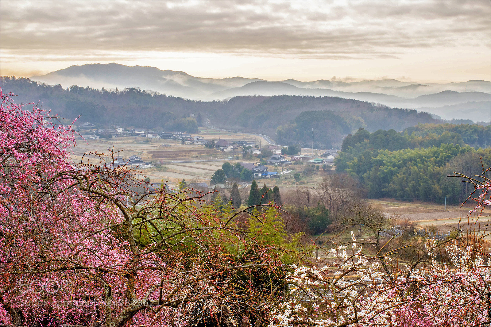 Canon EOS 600D (Rebel EOS T3i / EOS Kiss X5) sample photo. Haze photography