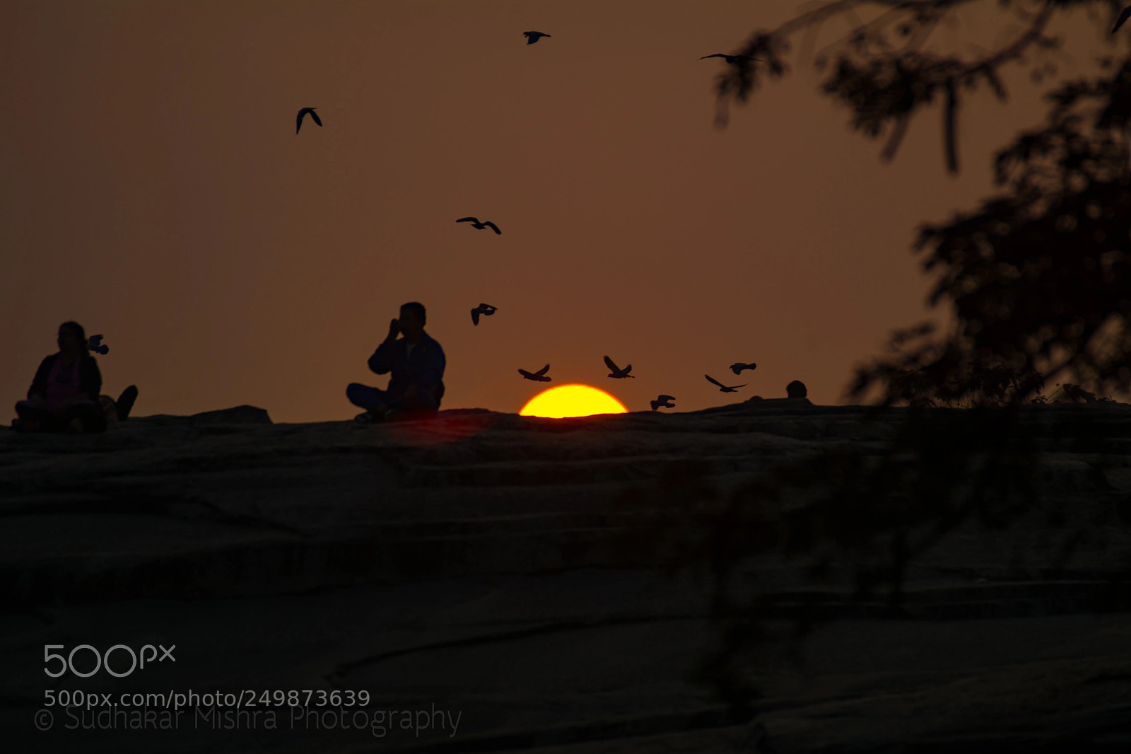 Nikon D7100 sample photo. Rise & shine! photography