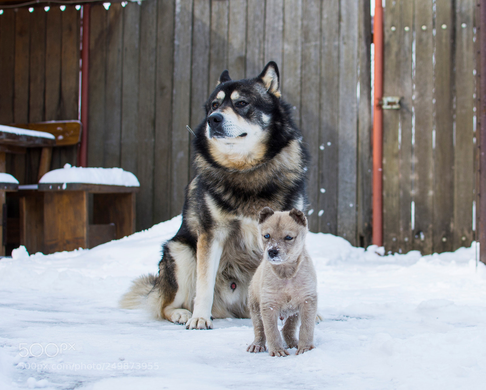 Nikon D7200 sample photo. Father and son photography