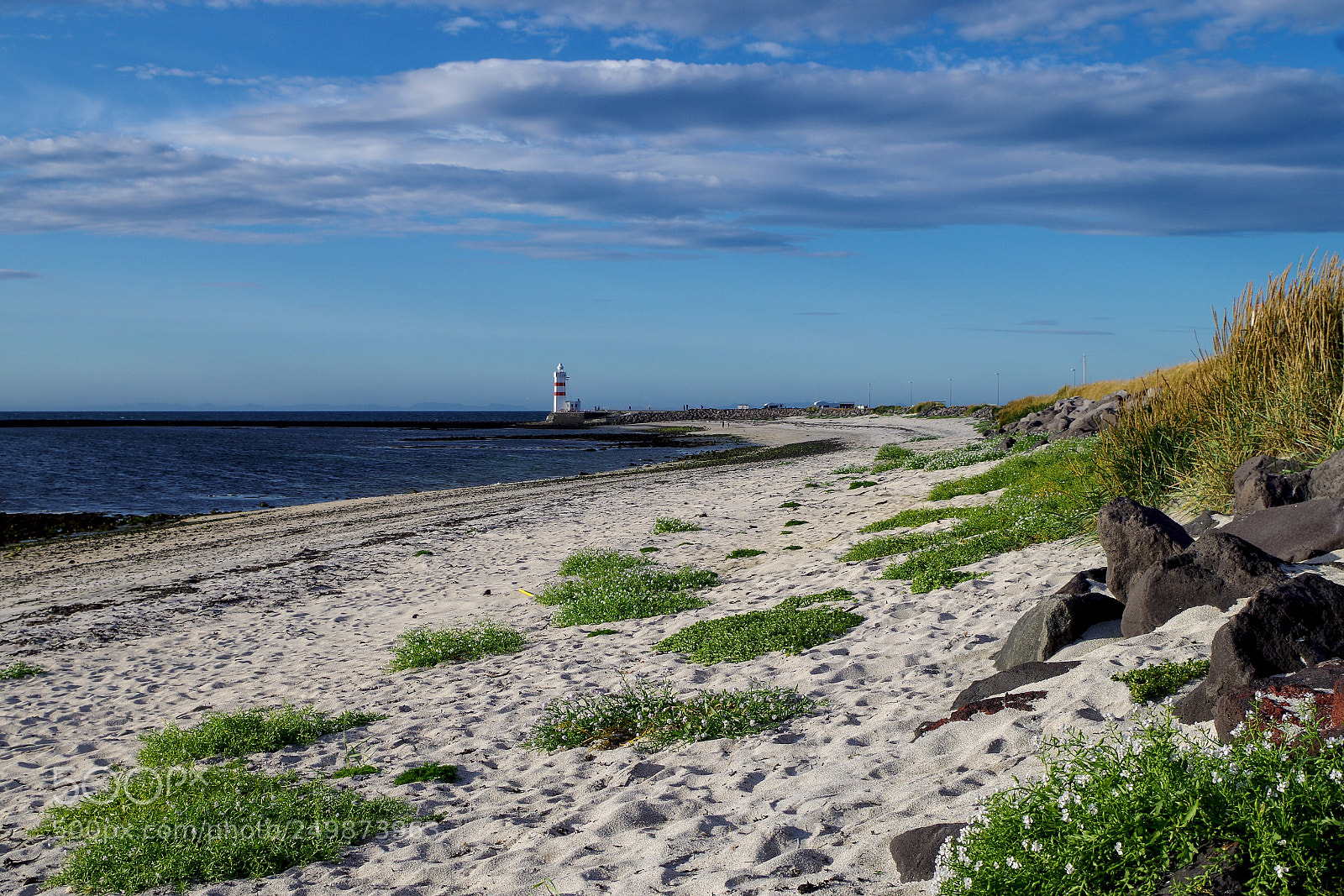 Pentax K-500 sample photo. Beach in iceland photography