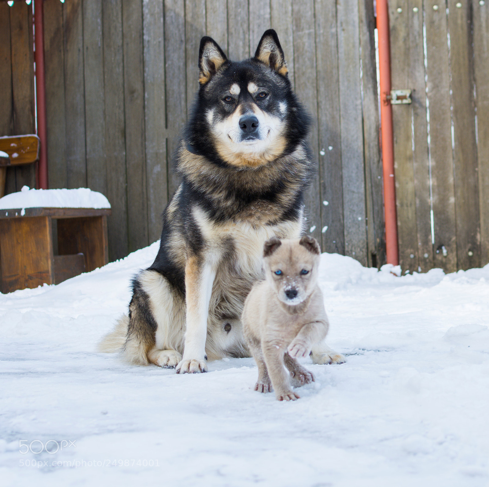 Nikon D7200 sample photo. Father and son photography