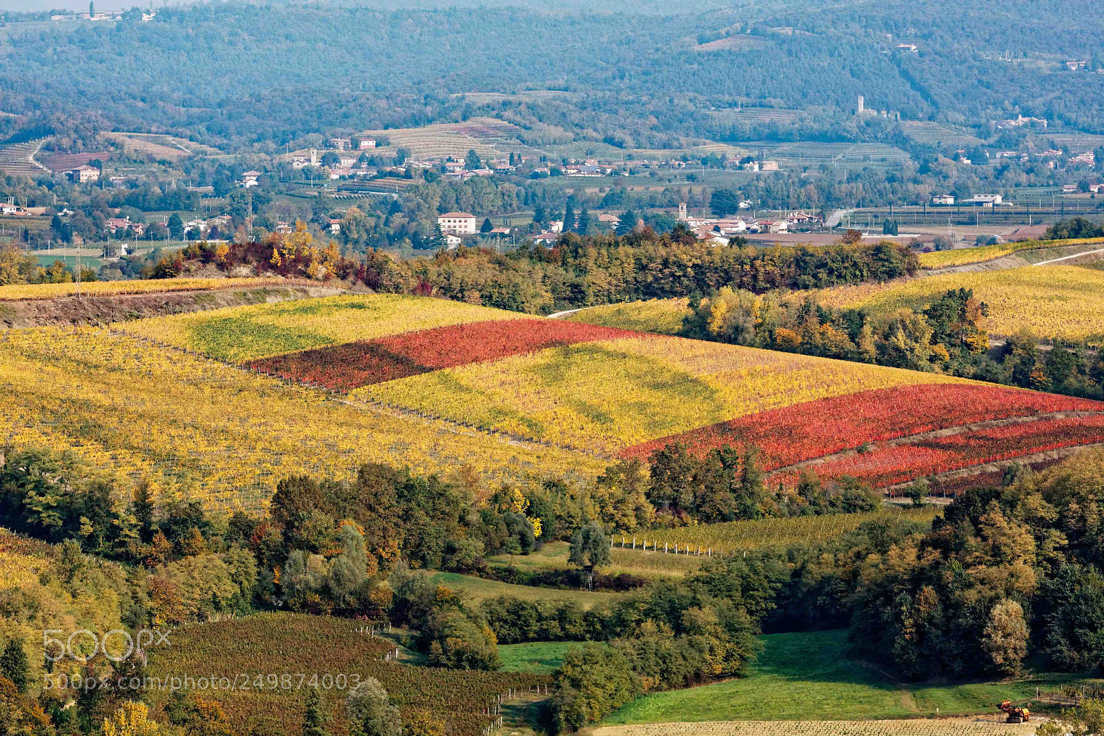 Canon EOS 40D sample photo. Collio vineyard in autumn photography