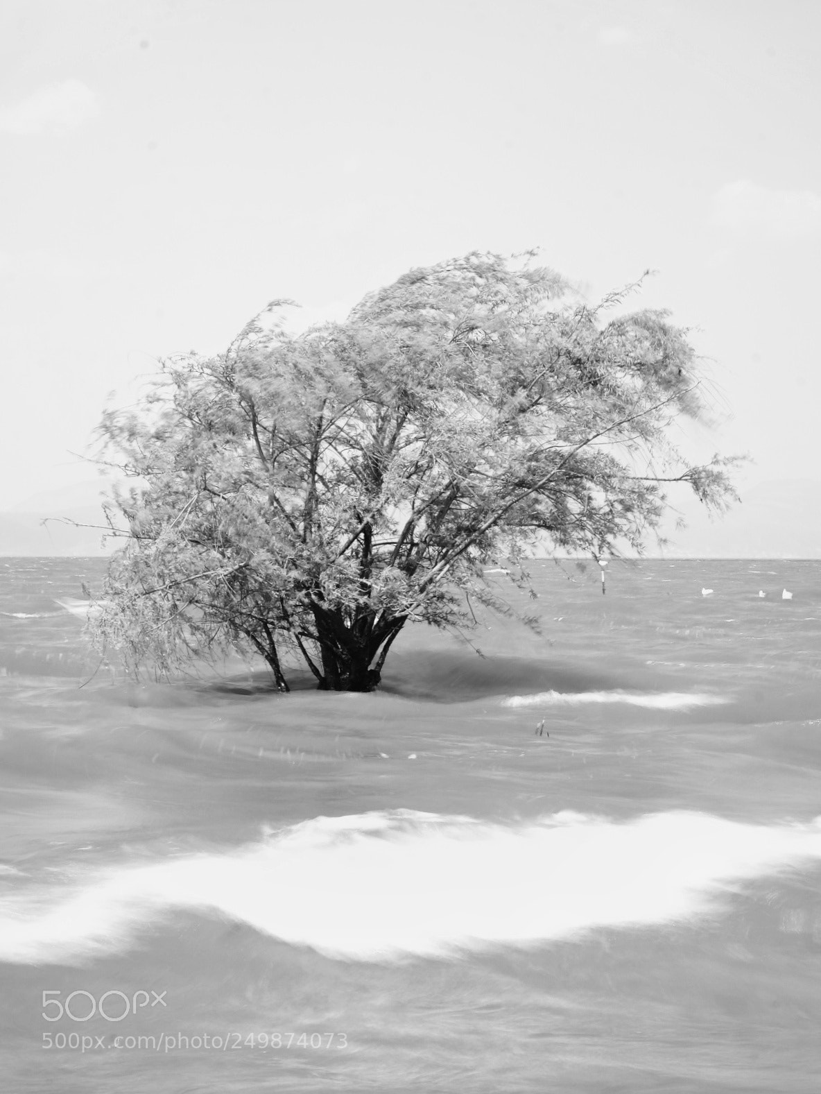 Fujifilm X-E2 sample photo. 捞鱼河3 photography