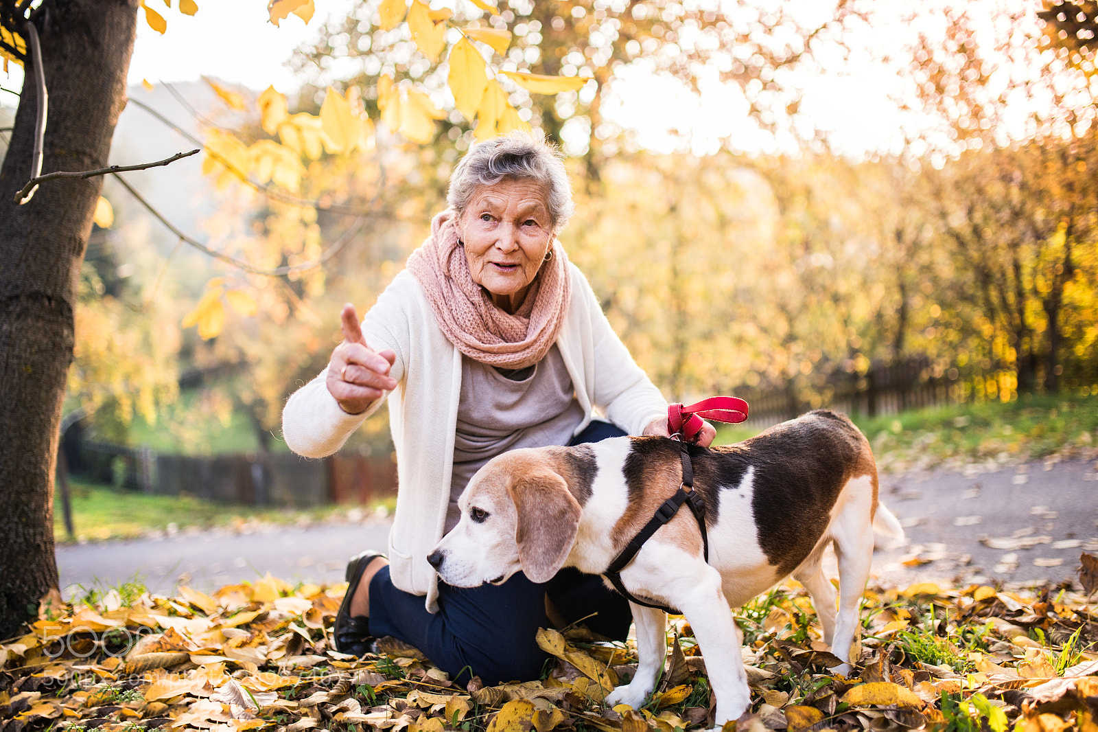 Nikon D5 sample photo. An elderly woman with photography