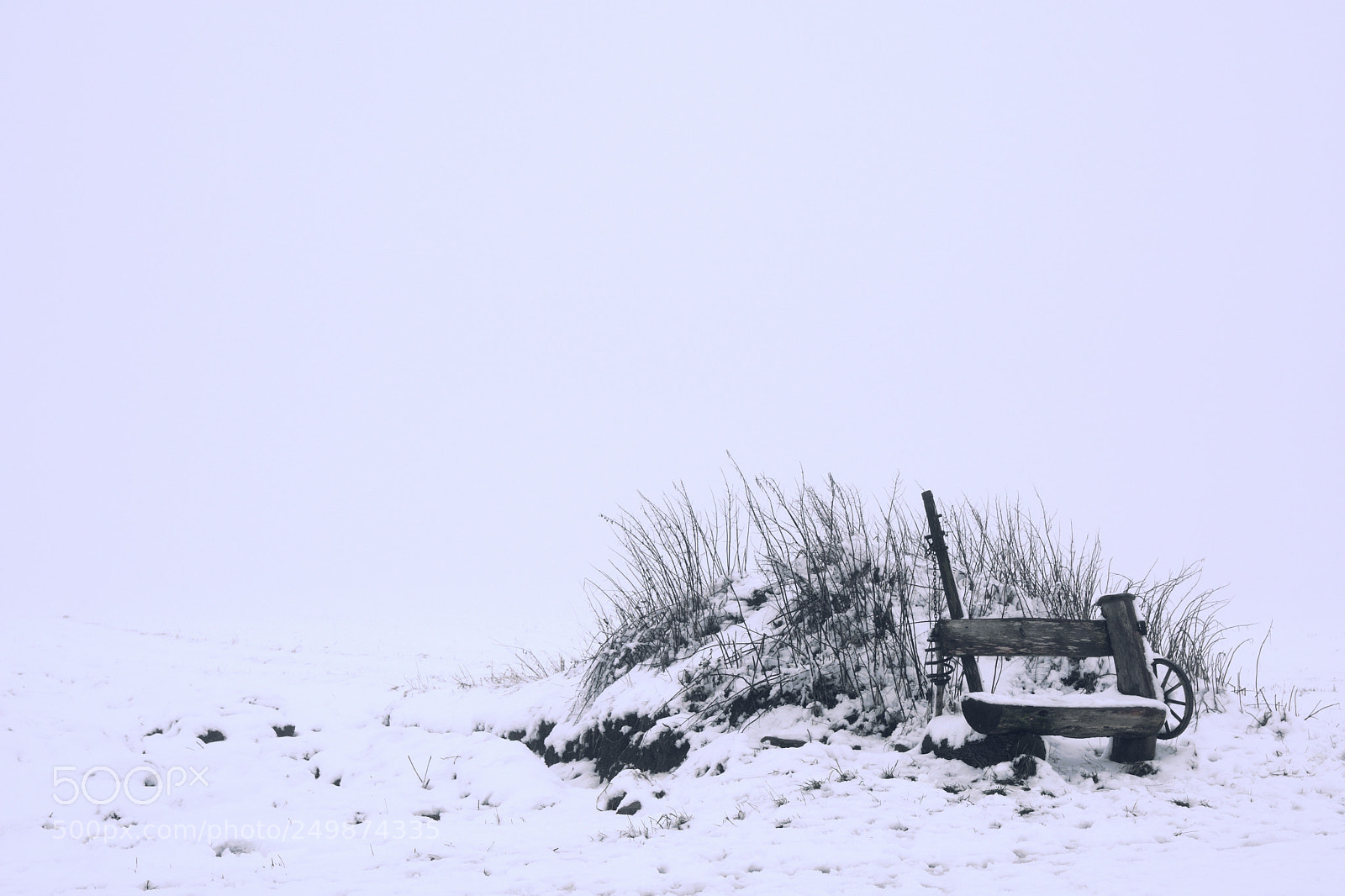 Nikon D7500 sample photo. Lonely photography