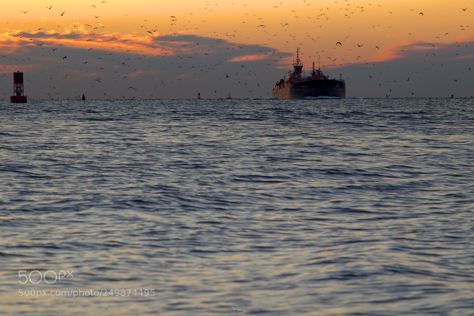 Canon EOS M5 sample photo. So many birds photography