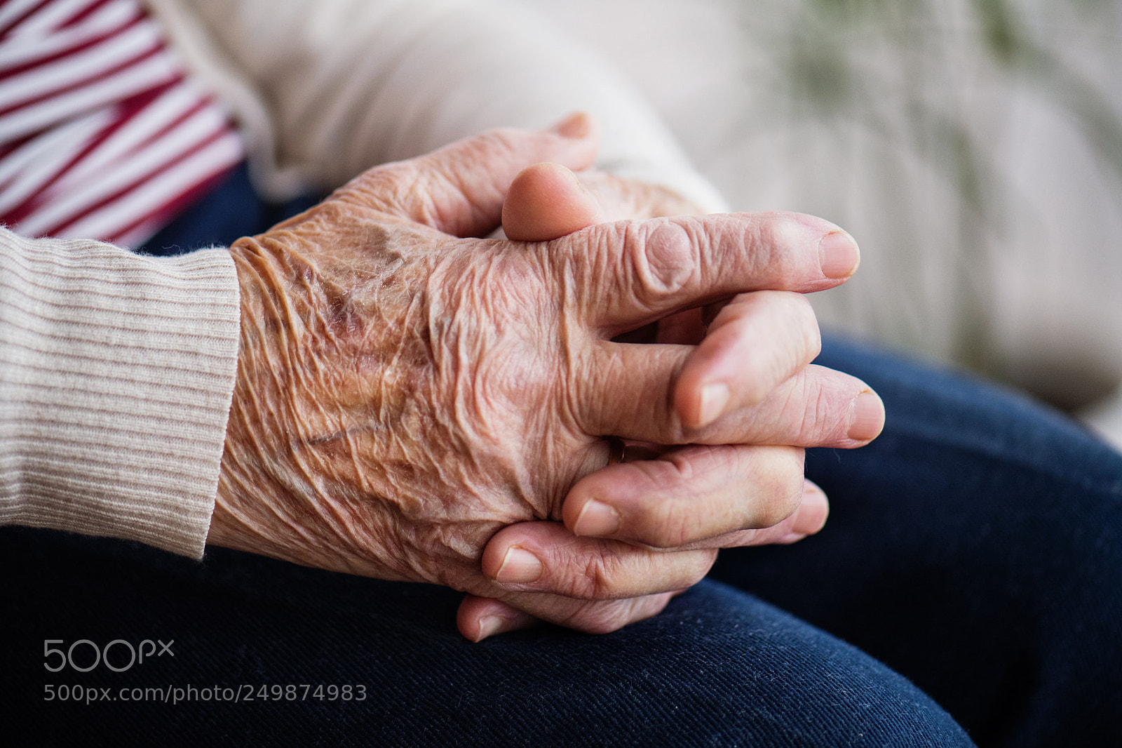 Nikon D5 sample photo. Praying hands of a photography