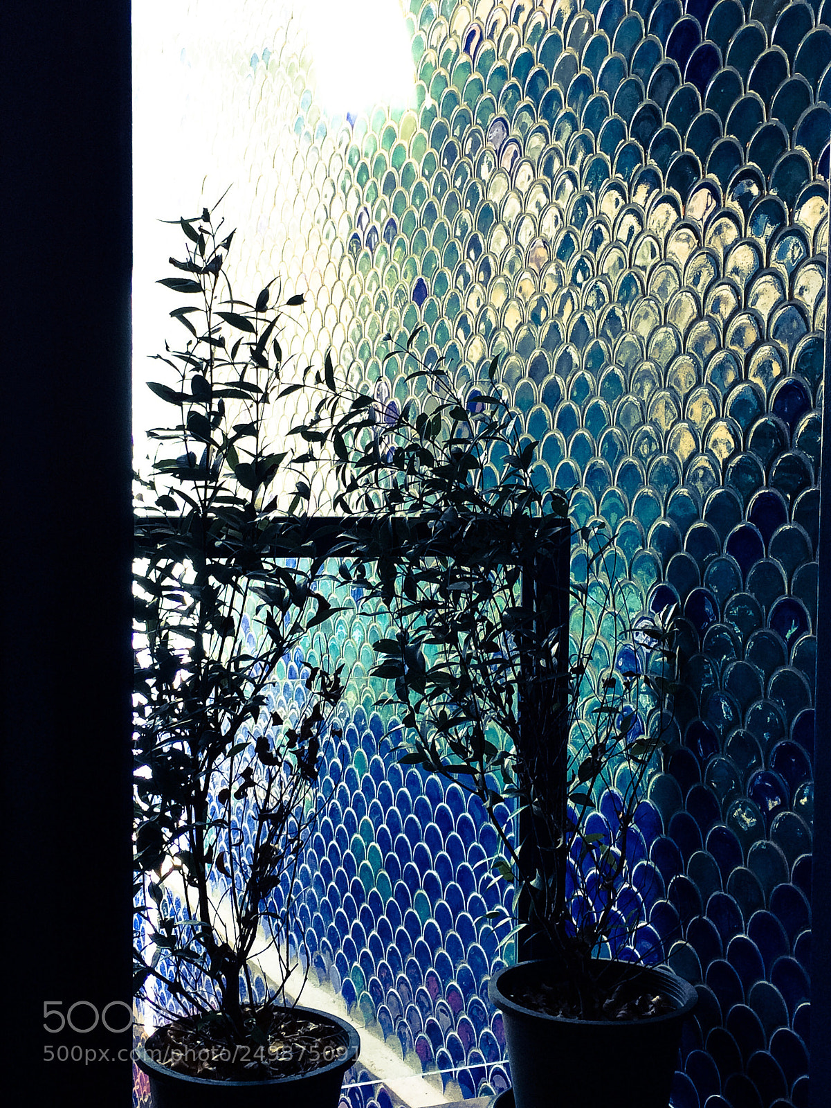 Apple iPhone 5s sample photo. One day in summer photography