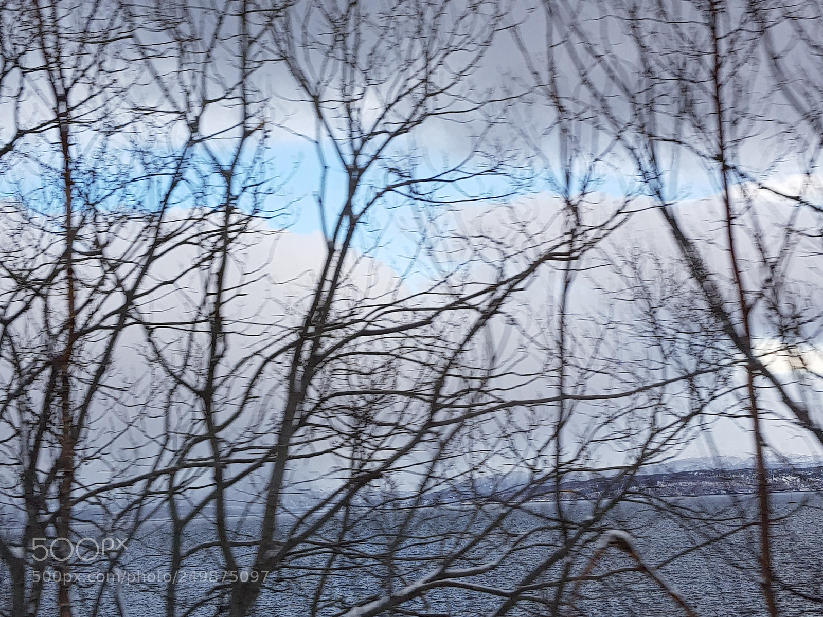 Samsung Galaxy S8 sample photo. Behind the branches photography
