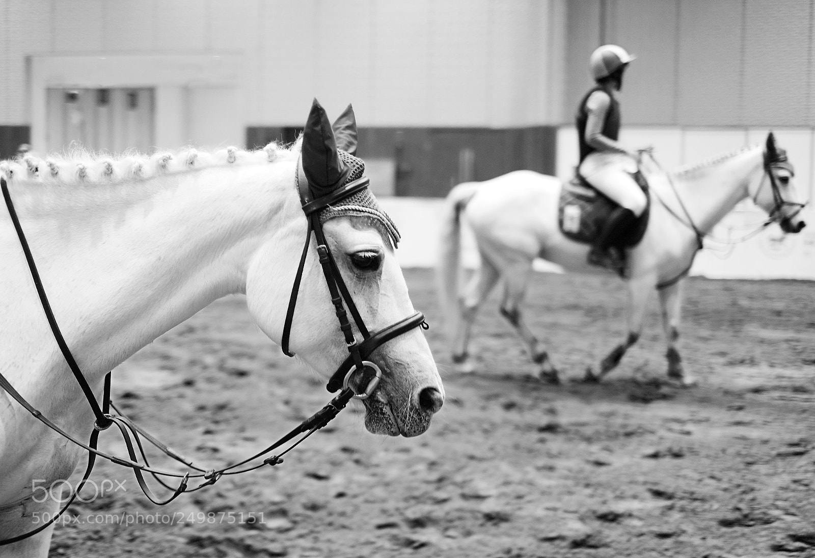 Fujifilm X-Pro2 sample photo. Untitled photography