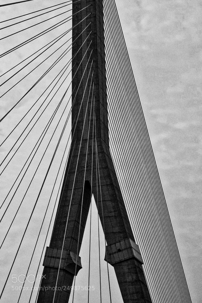 Fujifilm X-Pro2 sample photo. Suspension bridges photography