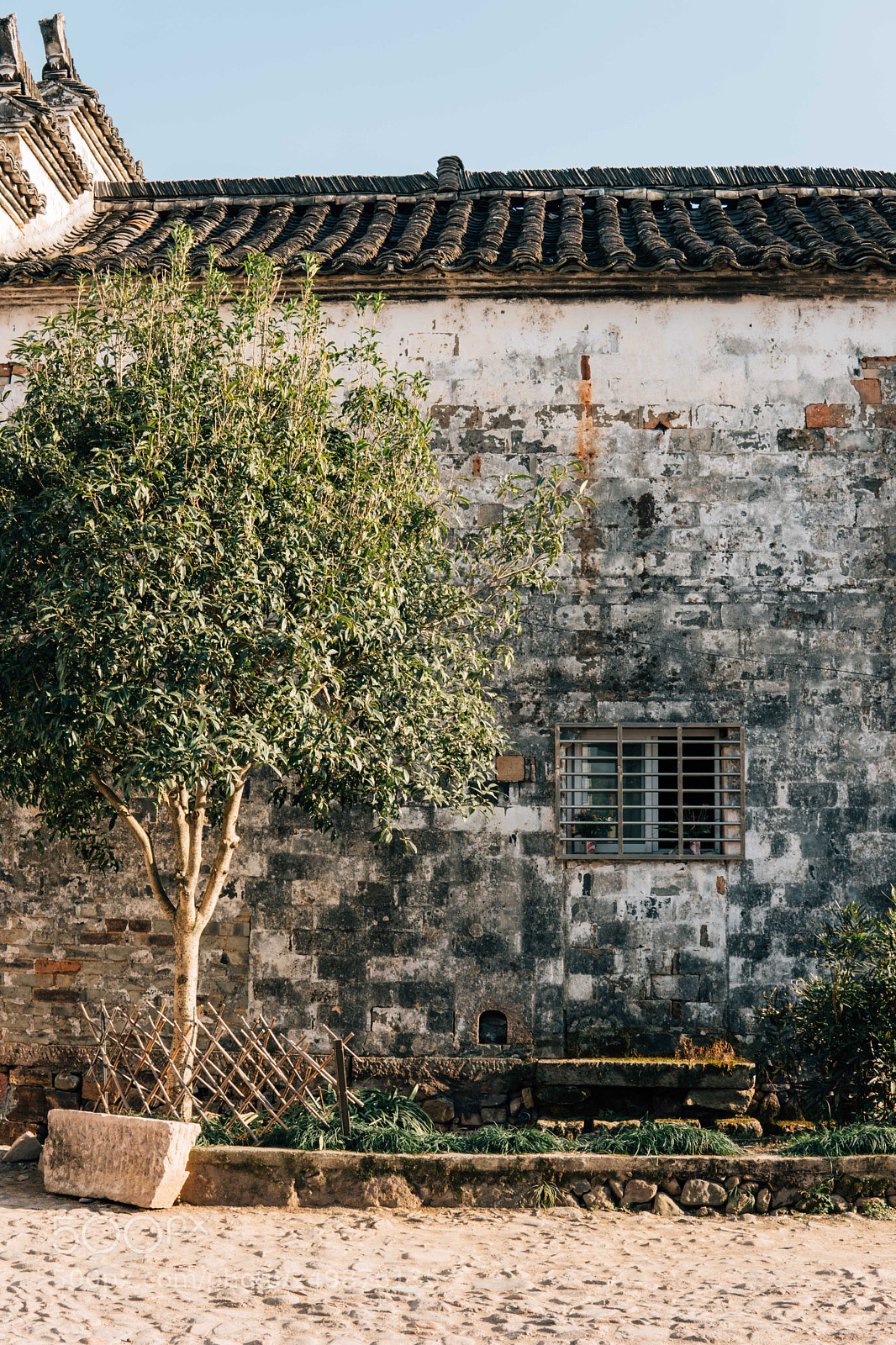 Sony a6300 sample photo. Untitled photography