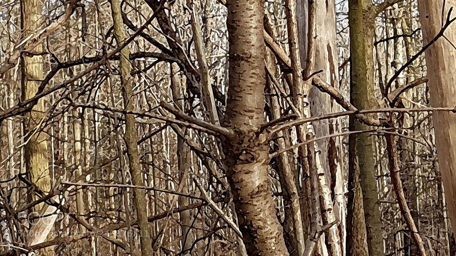 Samsung Galaxy S7 sample photo. Ravine 1 photography