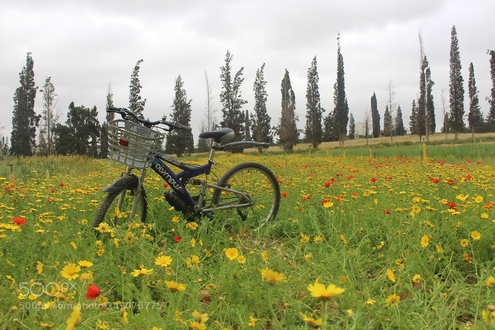 Canon EOS 700D (EOS Rebel T5i / EOS Kiss X7i) sample photo. Untitled photography