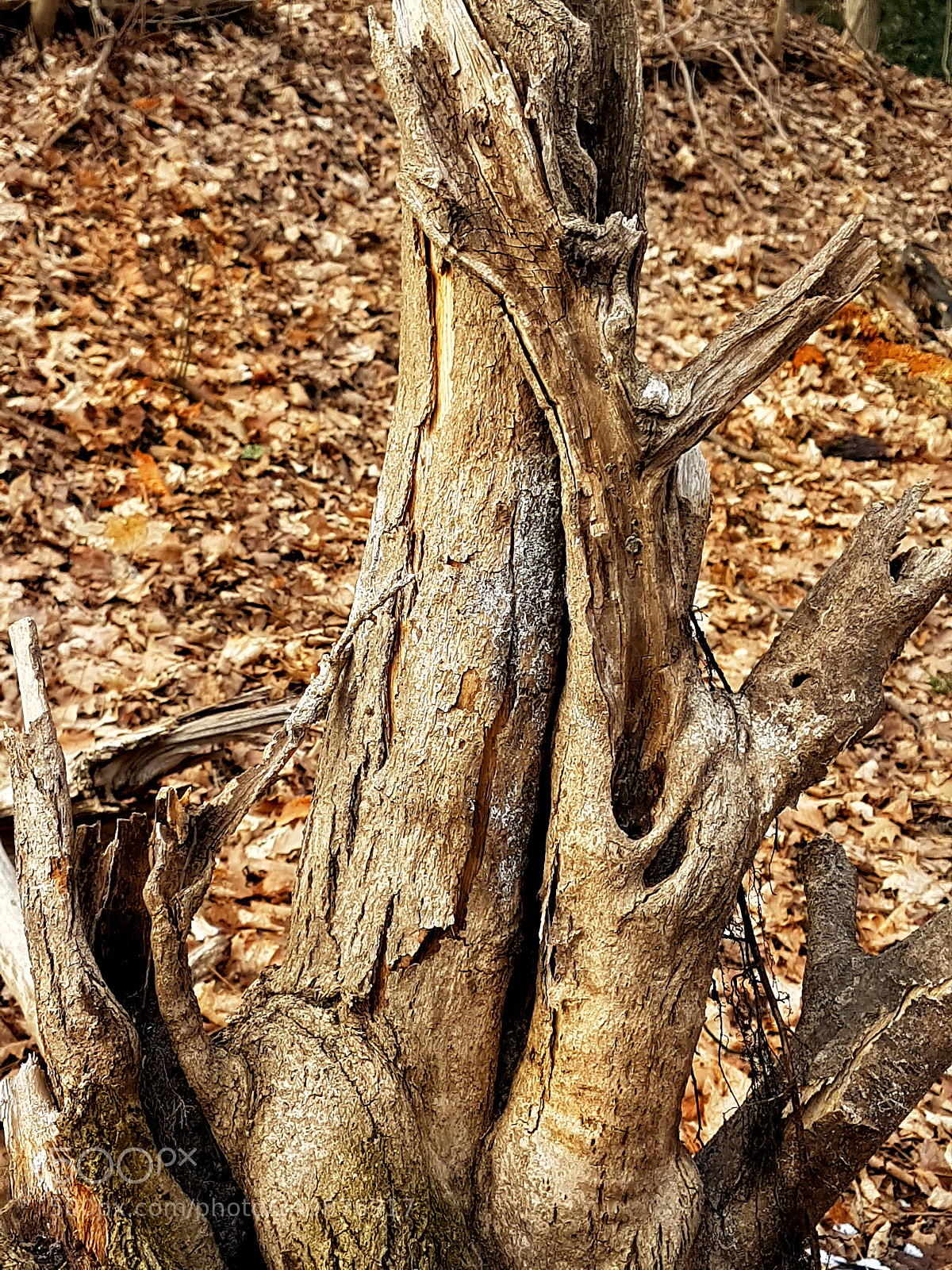 Samsung Galaxy S7 sample photo. Ravine 4 photography