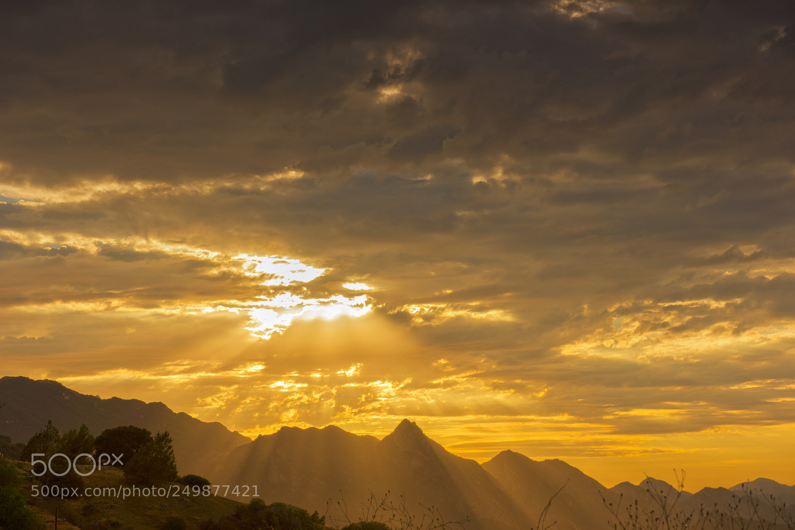 Nikon D810 sample photo. Pacific sundown photography