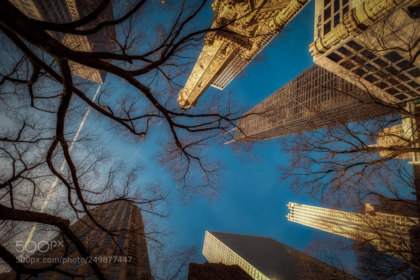 Fujifilm X-Pro2 sample photo. Chicago in the park photography