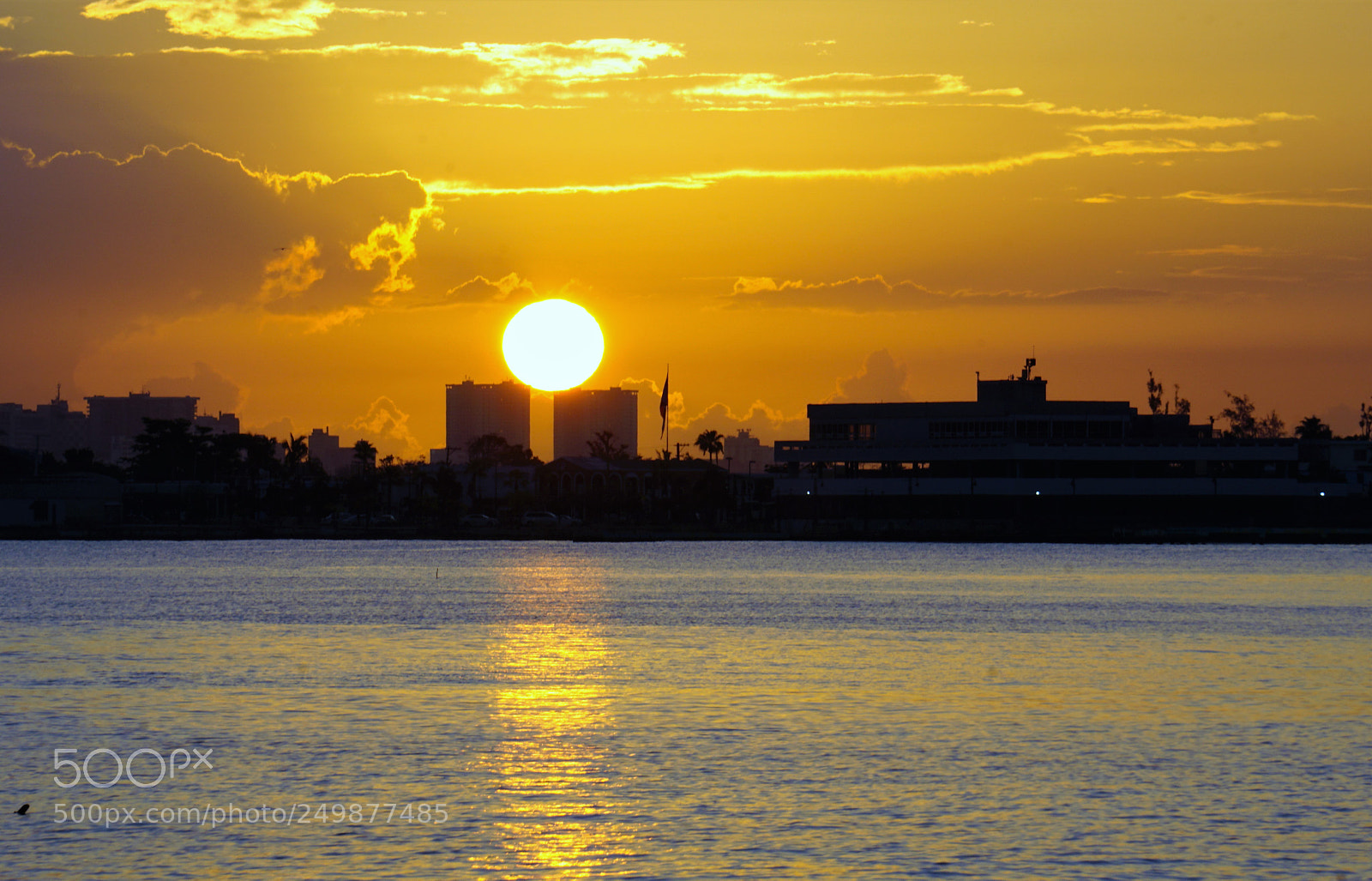 Sony a6000 sample photo. A new day is photography