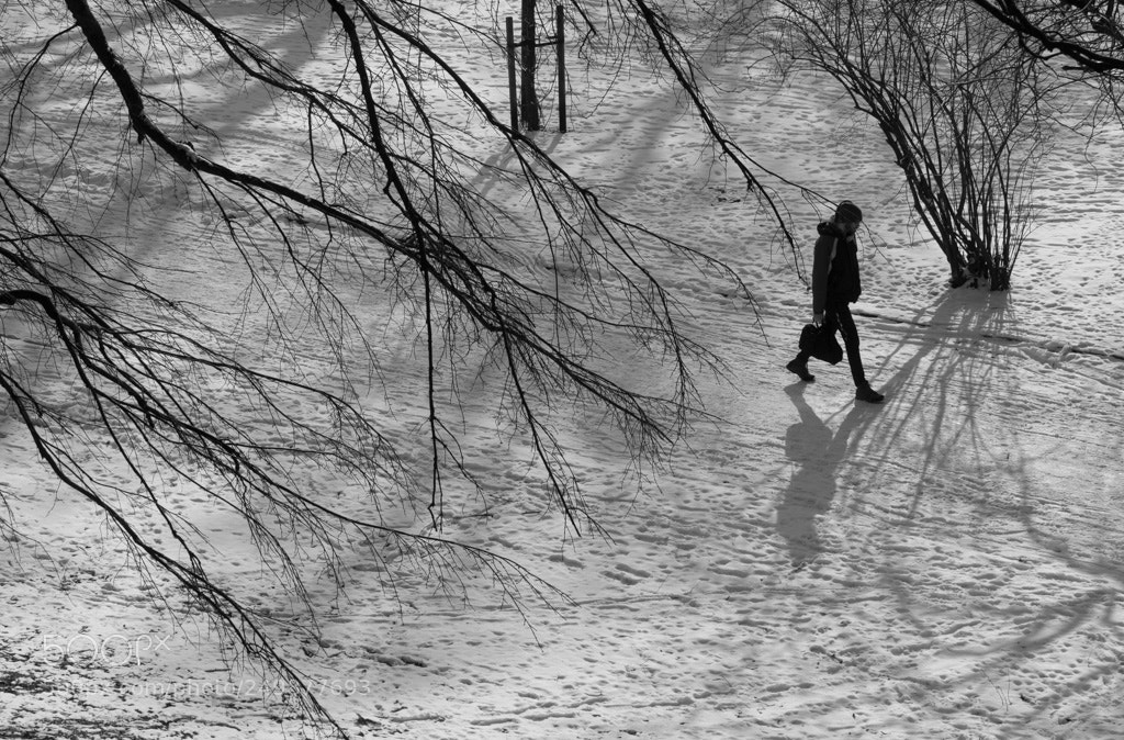 Olympus OM-D E-M1 sample photo. Walk in the park photography