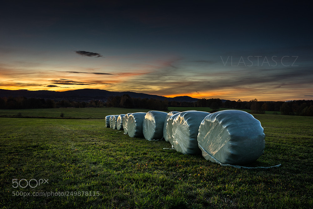 Sony a7R sample photo. Bundles of hay on photography