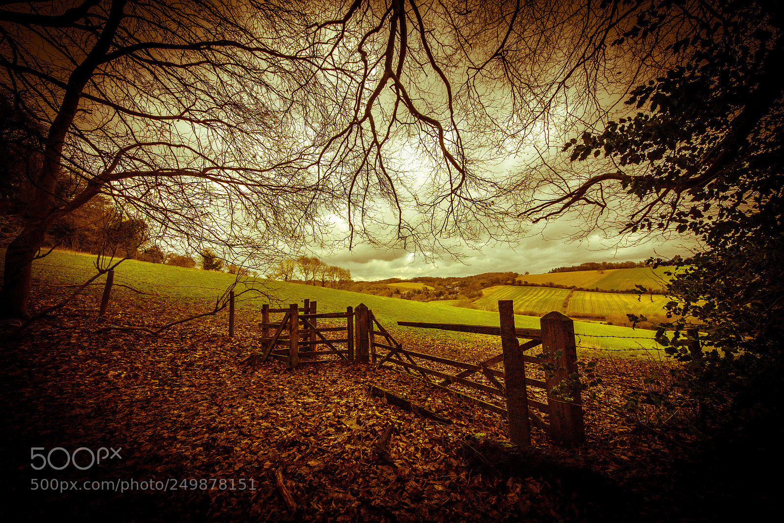 Canon EOS 60D sample photo. Hughendon photography
