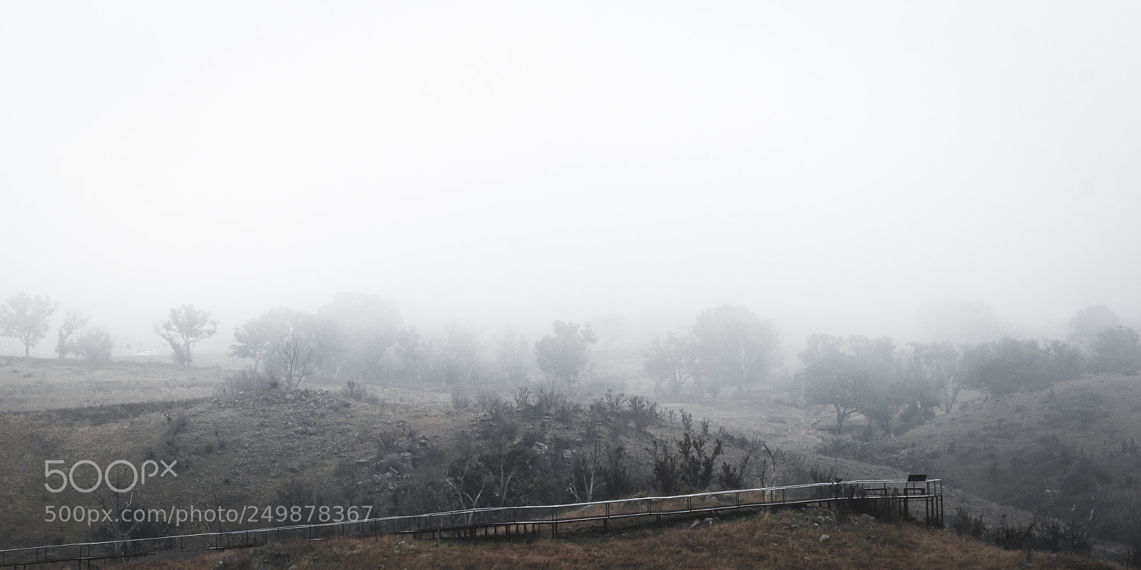 Nikon D7200 sample photo. Molonglo mist photography