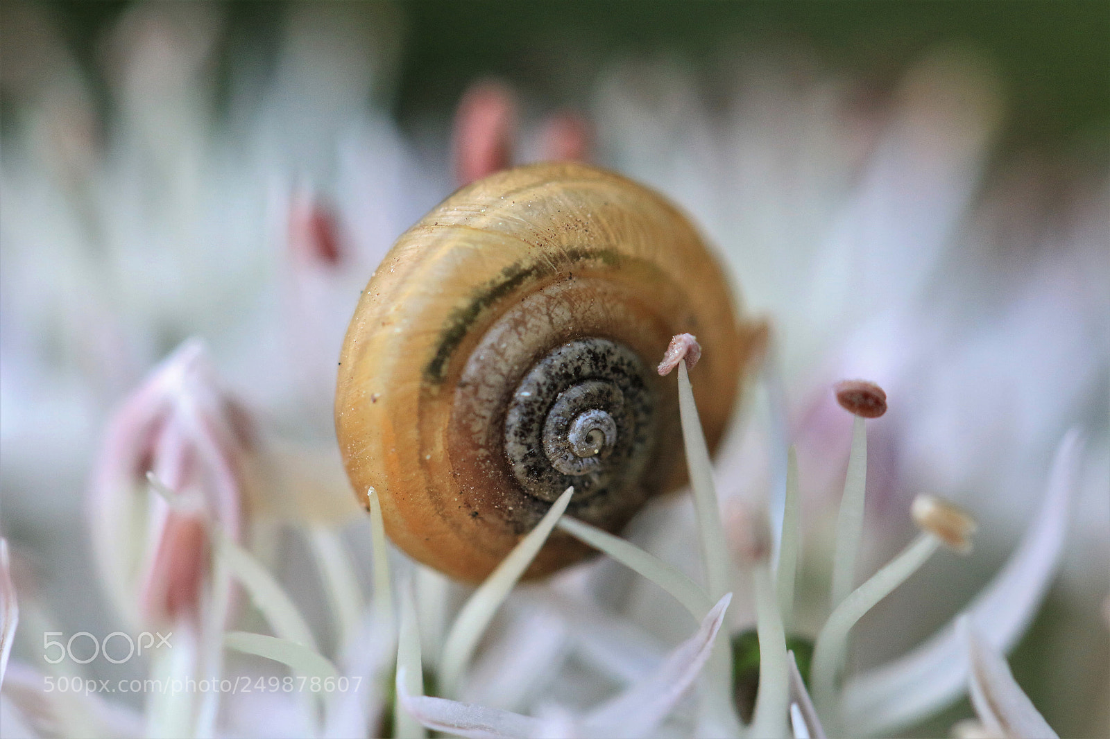 Canon EOS 70D sample photo. Hübsch eingebettet photography